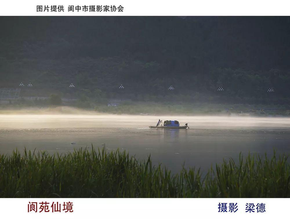 小猫钓鱼正版下载中文版
