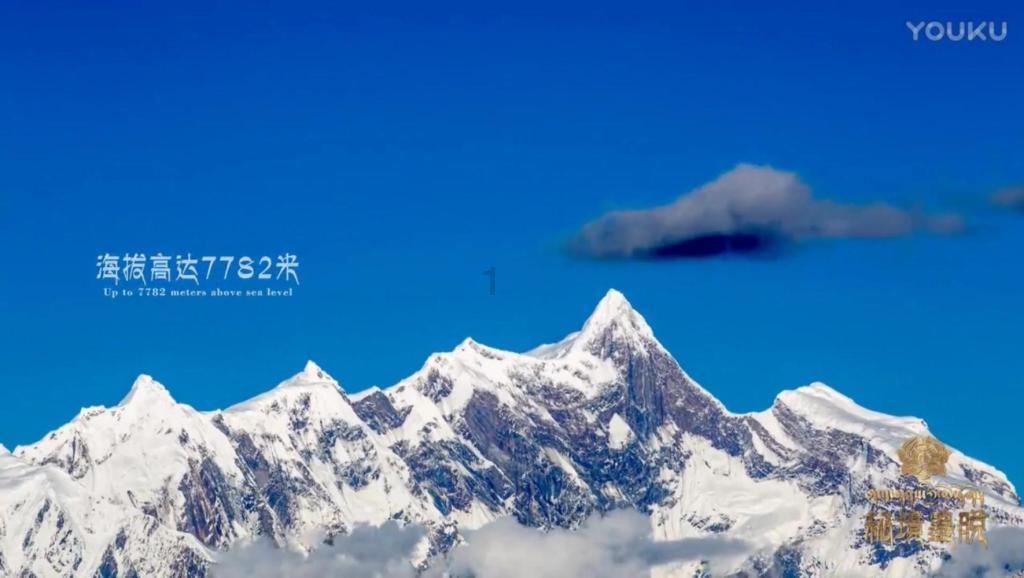 曝山西男篮再裁一人!CBA名将被杨学增放弃,或转型成为教练员