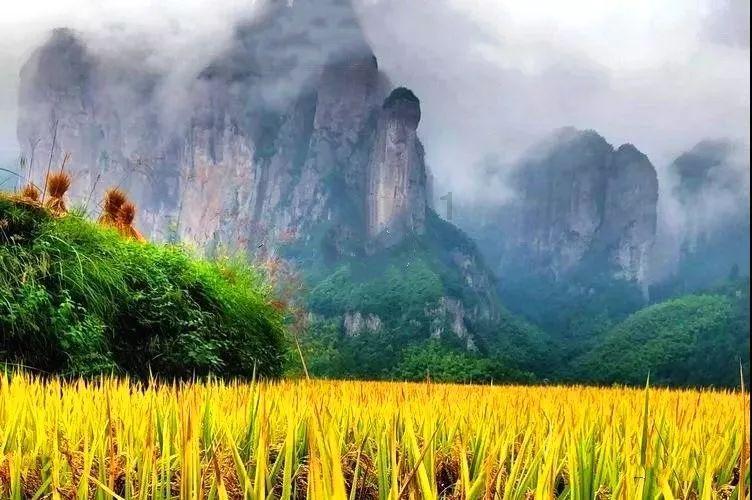 奢华豪宅找不同