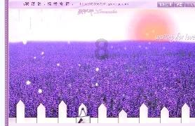 送设备 教技术 我省援外医疗走深走实