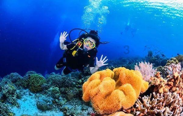 小甜甜在全场7中1表现糟糕,外援地位岌岌可危,王世龙面临考验