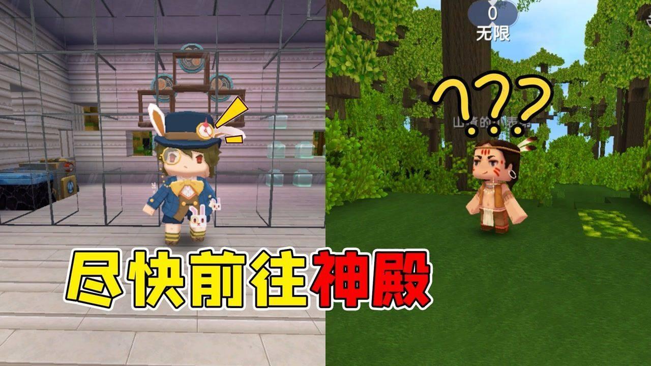 诱捕小浣熊