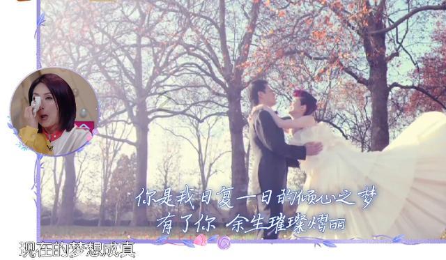 数码宝贝8