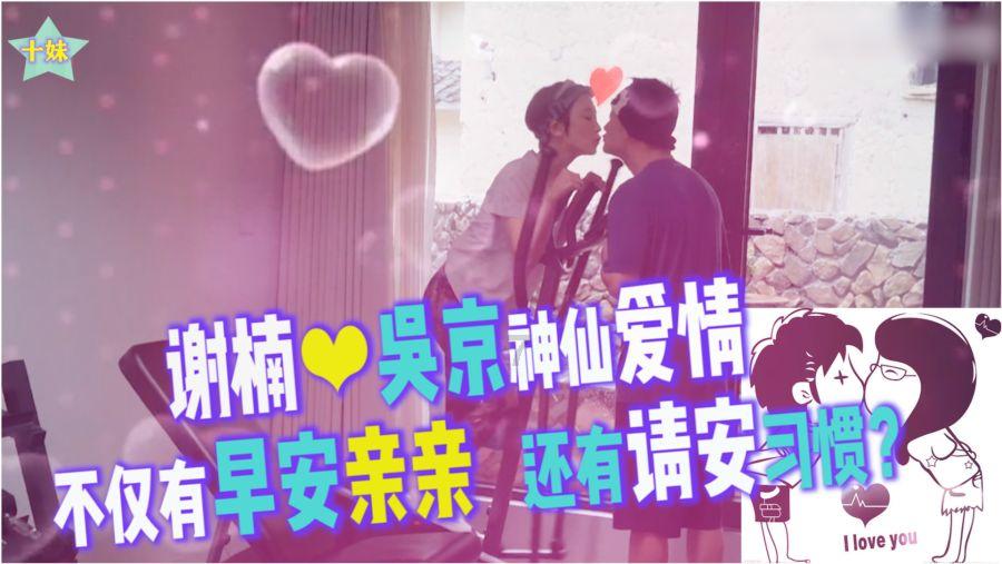 救援狗与猫