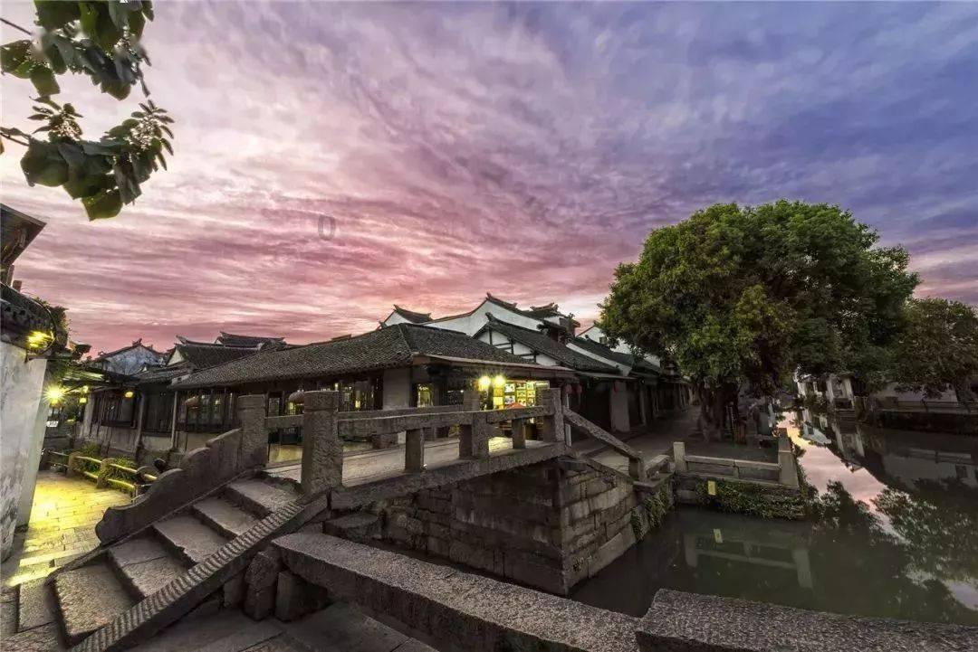 拯救精灵的土地10