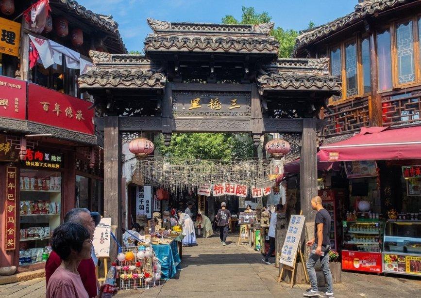 五彩鹦鹉救援